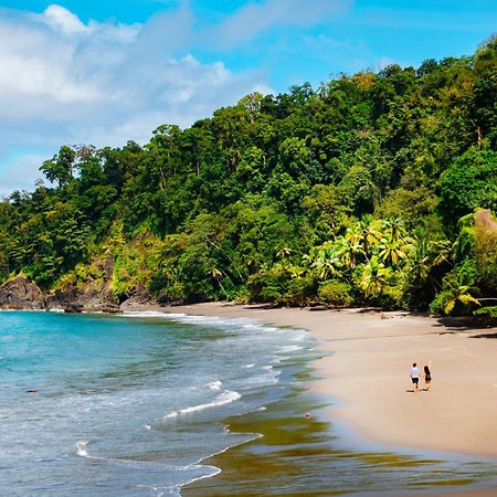 Corcovado Wilderness Lodge By Scp San Pedrillo Kültér fotó