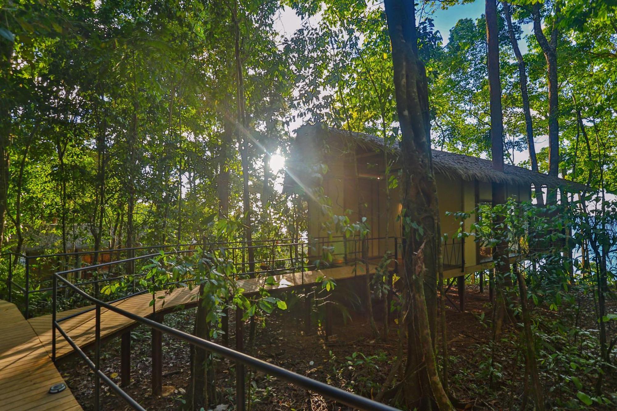 Corcovado Wilderness Lodge By Scp San Pedrillo Kültér fotó