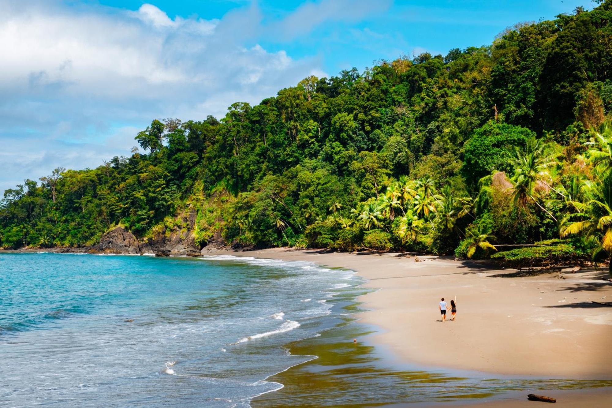Corcovado Wilderness Lodge By Scp San Pedrillo Kültér fotó