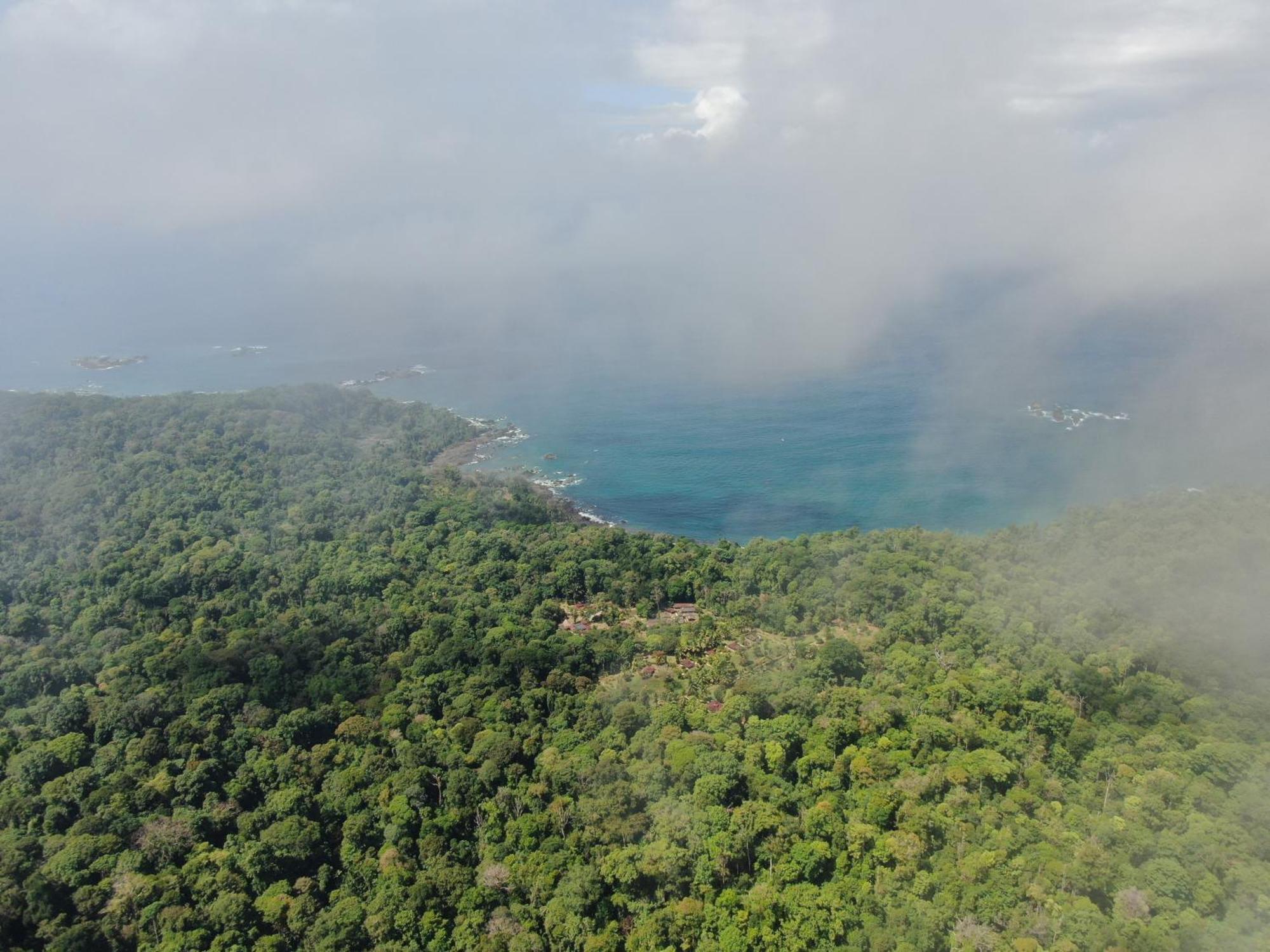 Corcovado Wilderness Lodge By Scp San Pedrillo Kültér fotó