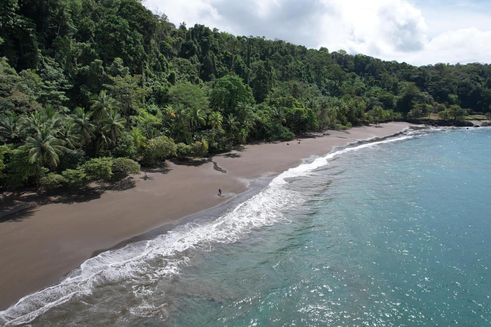 Corcovado Wilderness Lodge By Scp San Pedrillo Kültér fotó