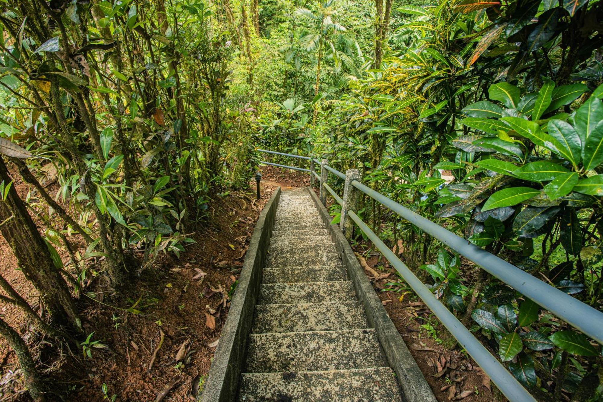 Corcovado Wilderness Lodge By Scp San Pedrillo Kültér fotó